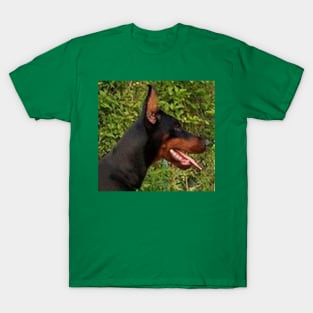 doberman pinscher T-Shirt